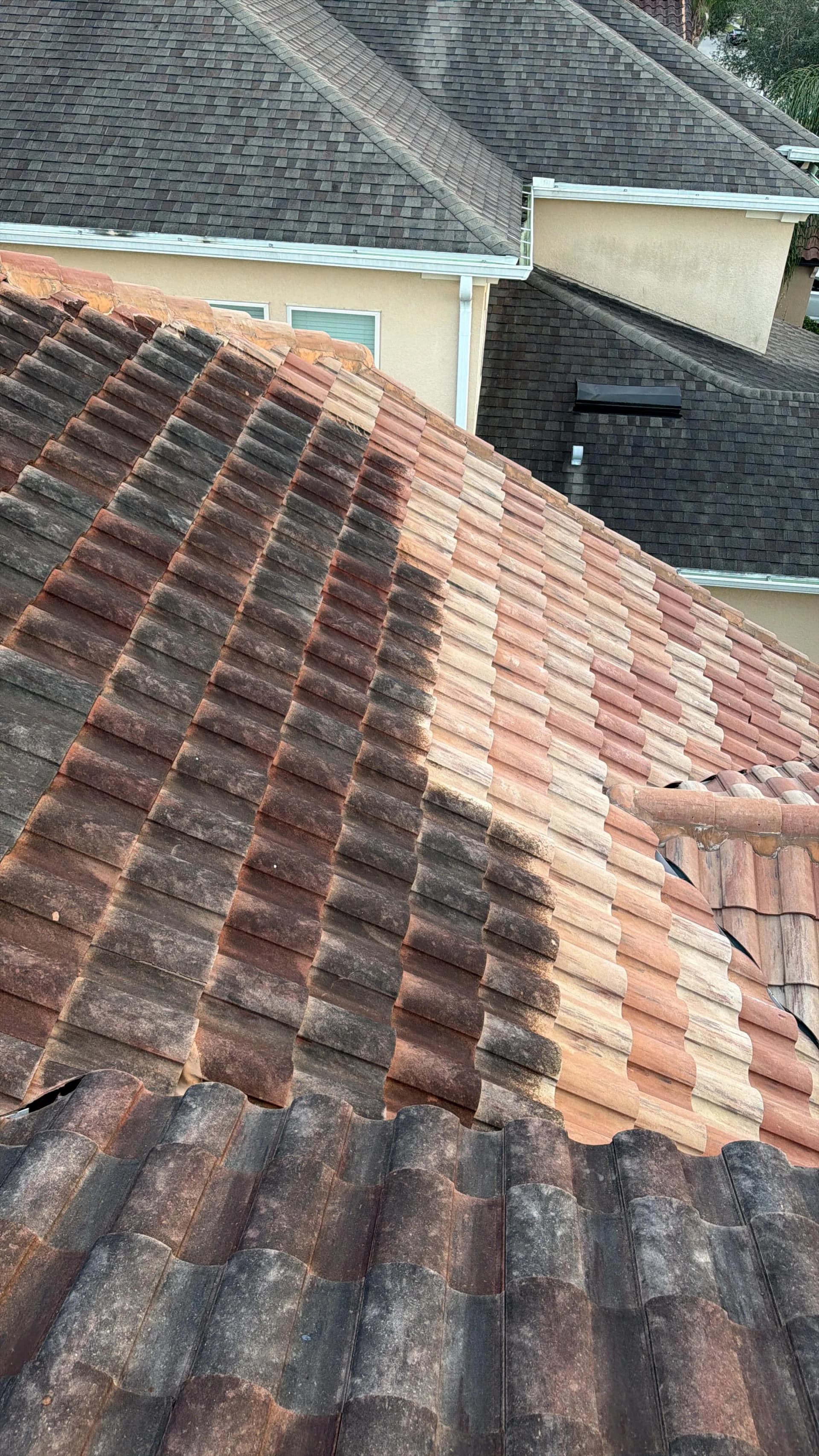 Roof Cleaning