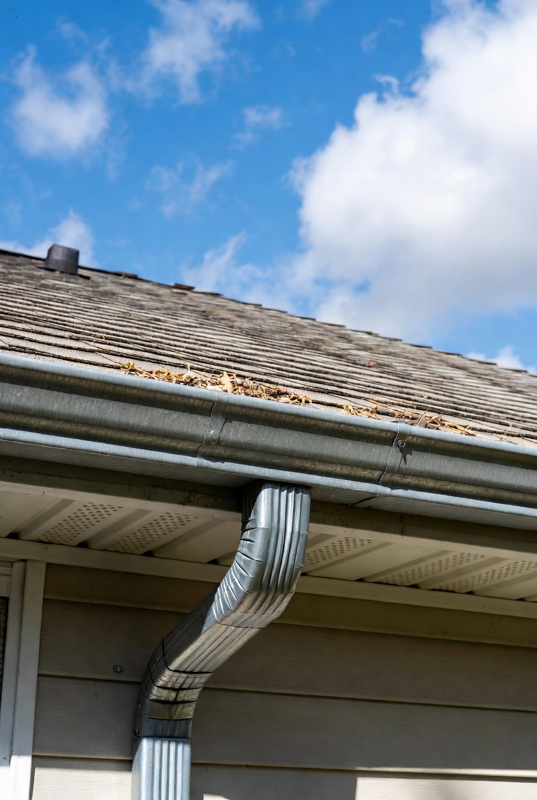 Gutter Cleaning